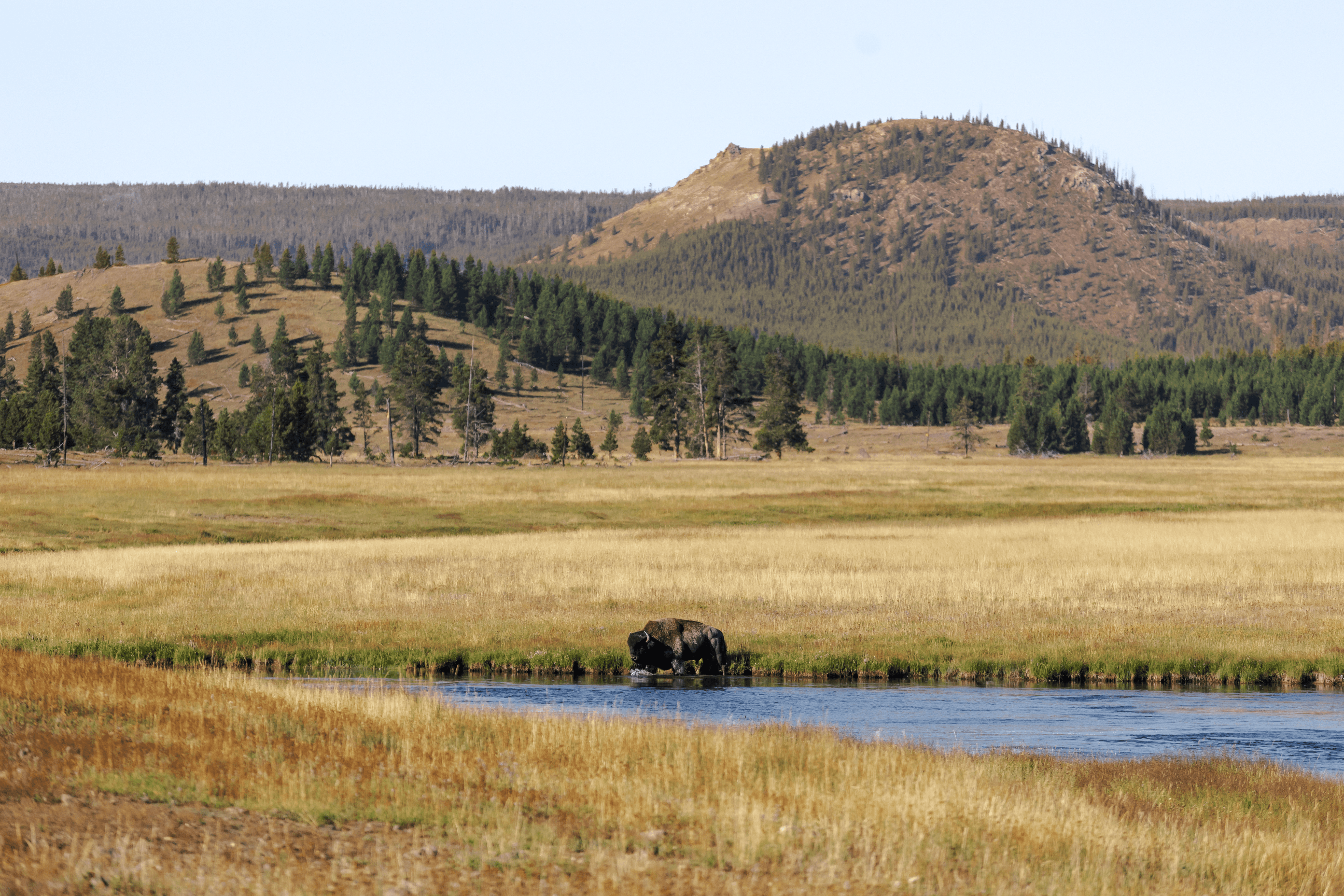 Scenic mountain shot of Yellowstone National Park