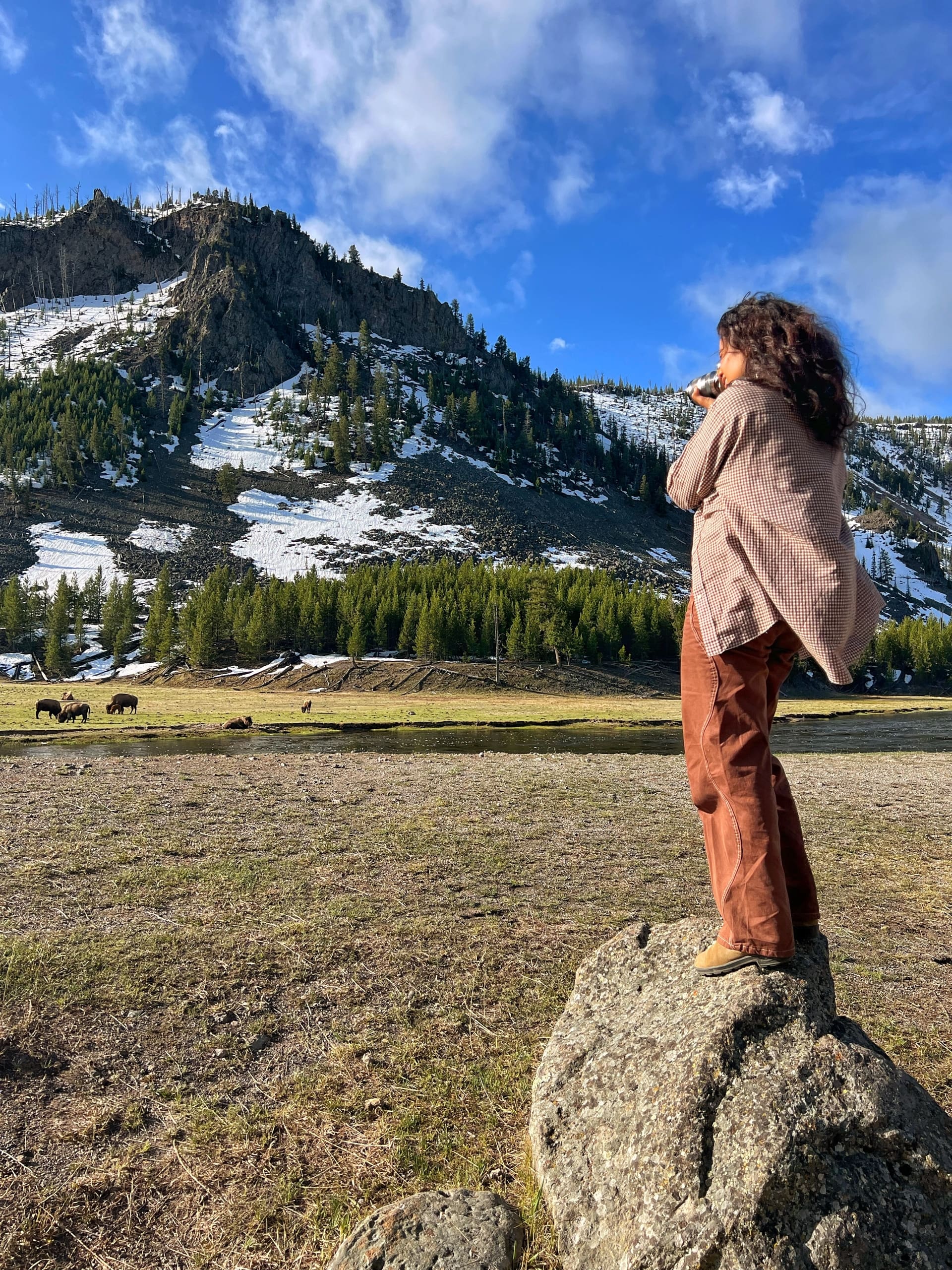 A horseback rider in Yellowstone forests