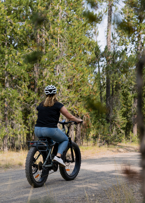 Yellowstone Scenery 2